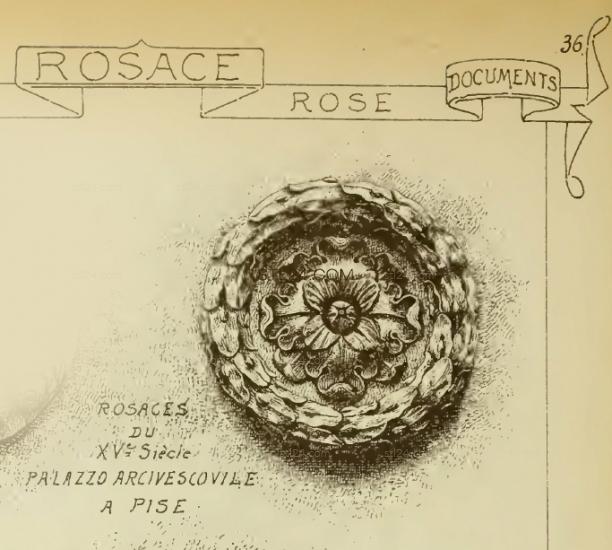 ROSETTE_0113